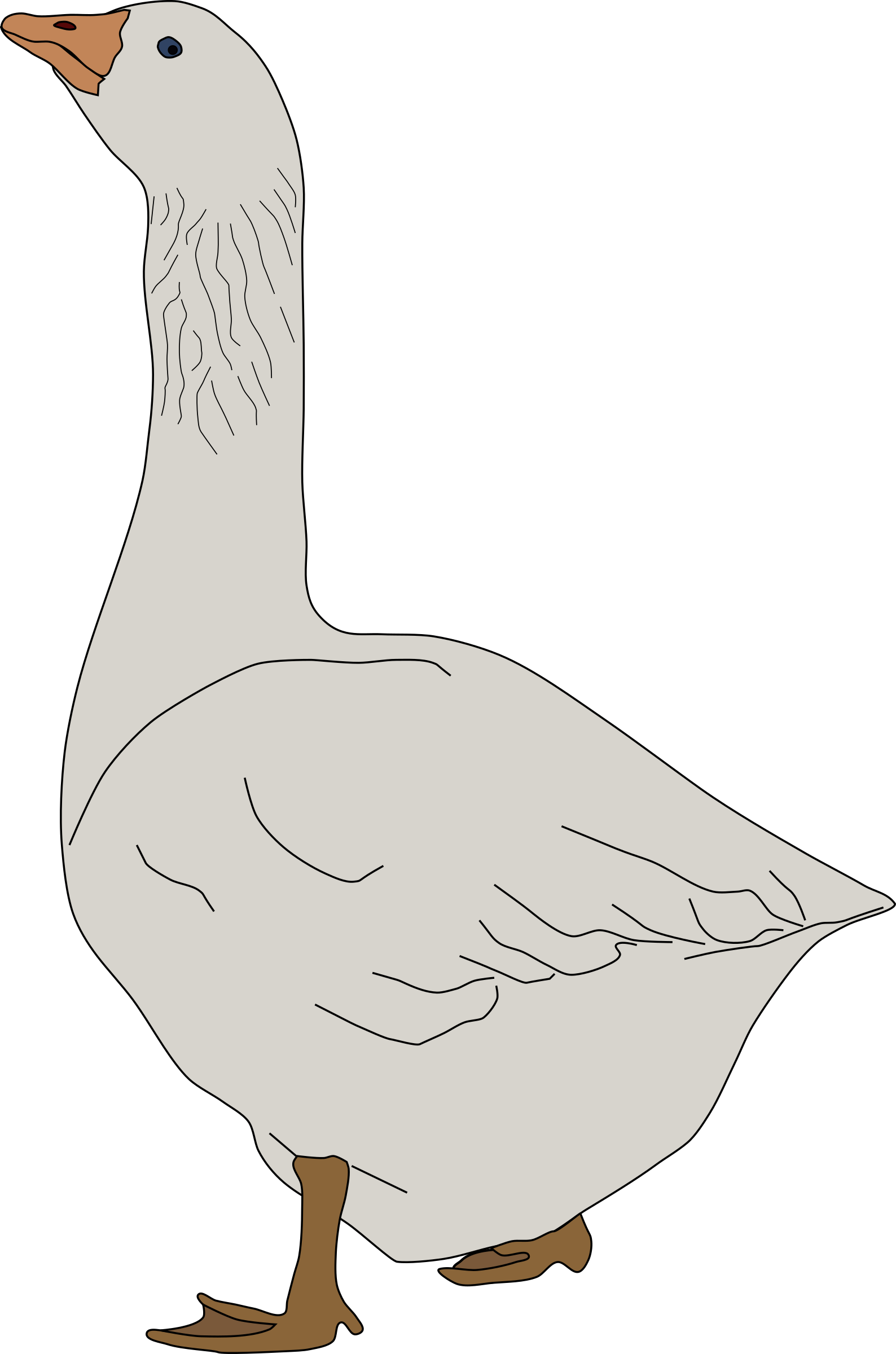 Snow Goose clipart #8, Download drawings