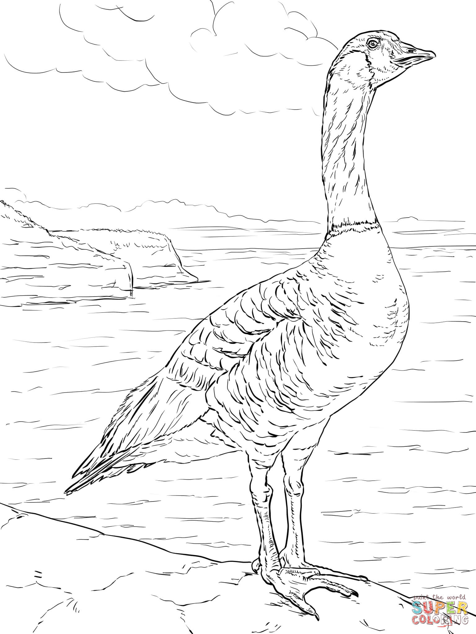 Snow Goose coloring #1, Download drawings