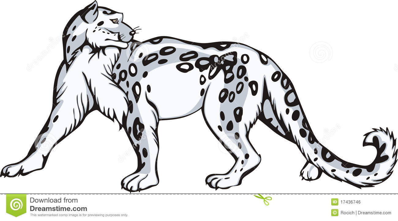 Snow Leopard clipart #14, Download drawings