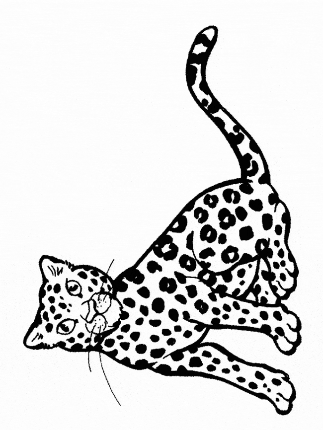 Snow Leopard coloring #11, Download drawings