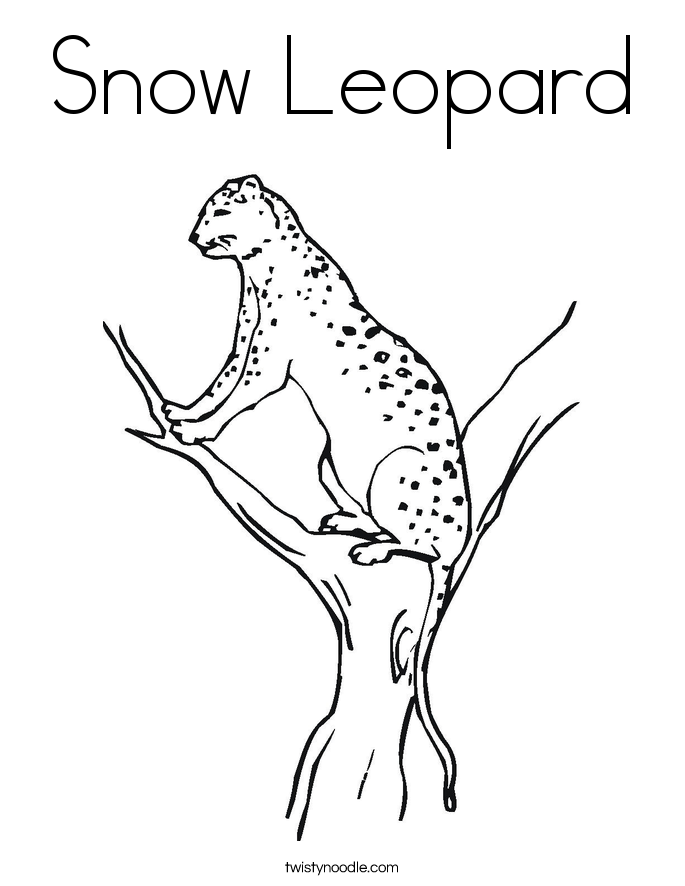 Snow Leopard coloring #1, Download drawings