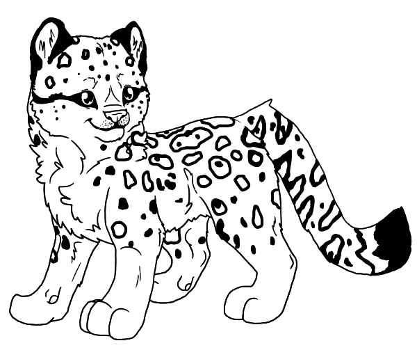 The Snow Leopards coloring #19, Download drawings