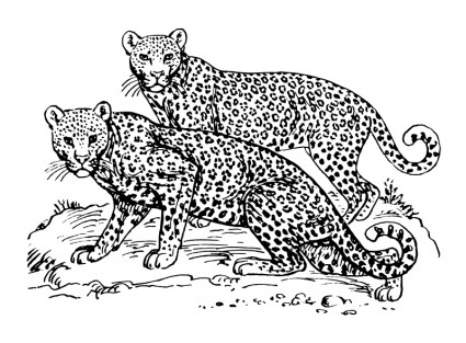 Snow Leopard svg #1, Download drawings