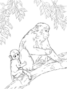Snow Monkey coloring #8, Download drawings