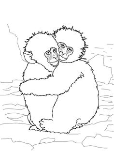 Snow Monkey coloring #11, Download drawings