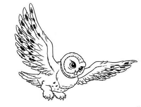 Snowy Owl clipart #18, Download drawings