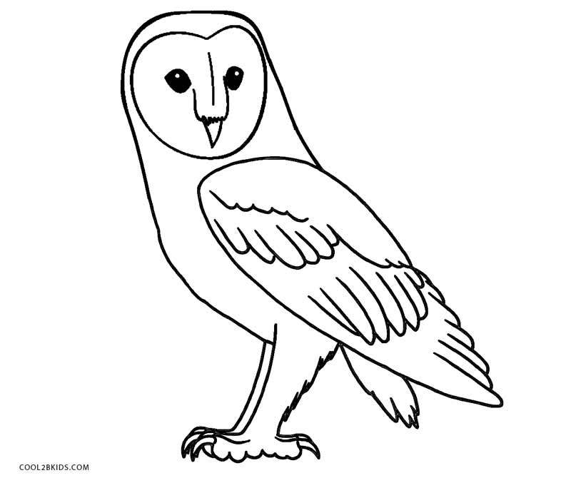 Snowy Owl coloring #7, Download drawings