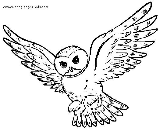 Snowy Owl coloring #1, Download drawings