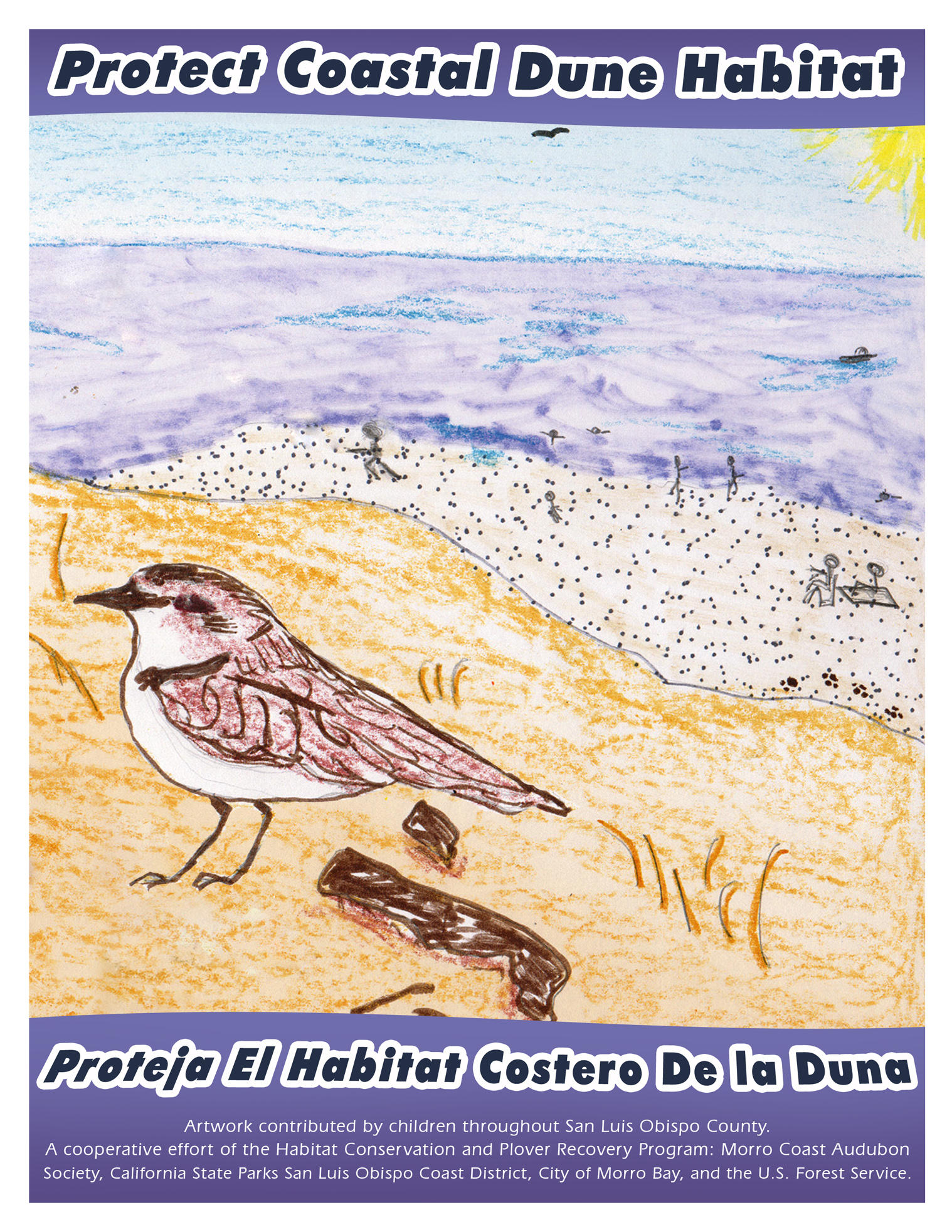 Snowy Plover coloring #1, Download drawings