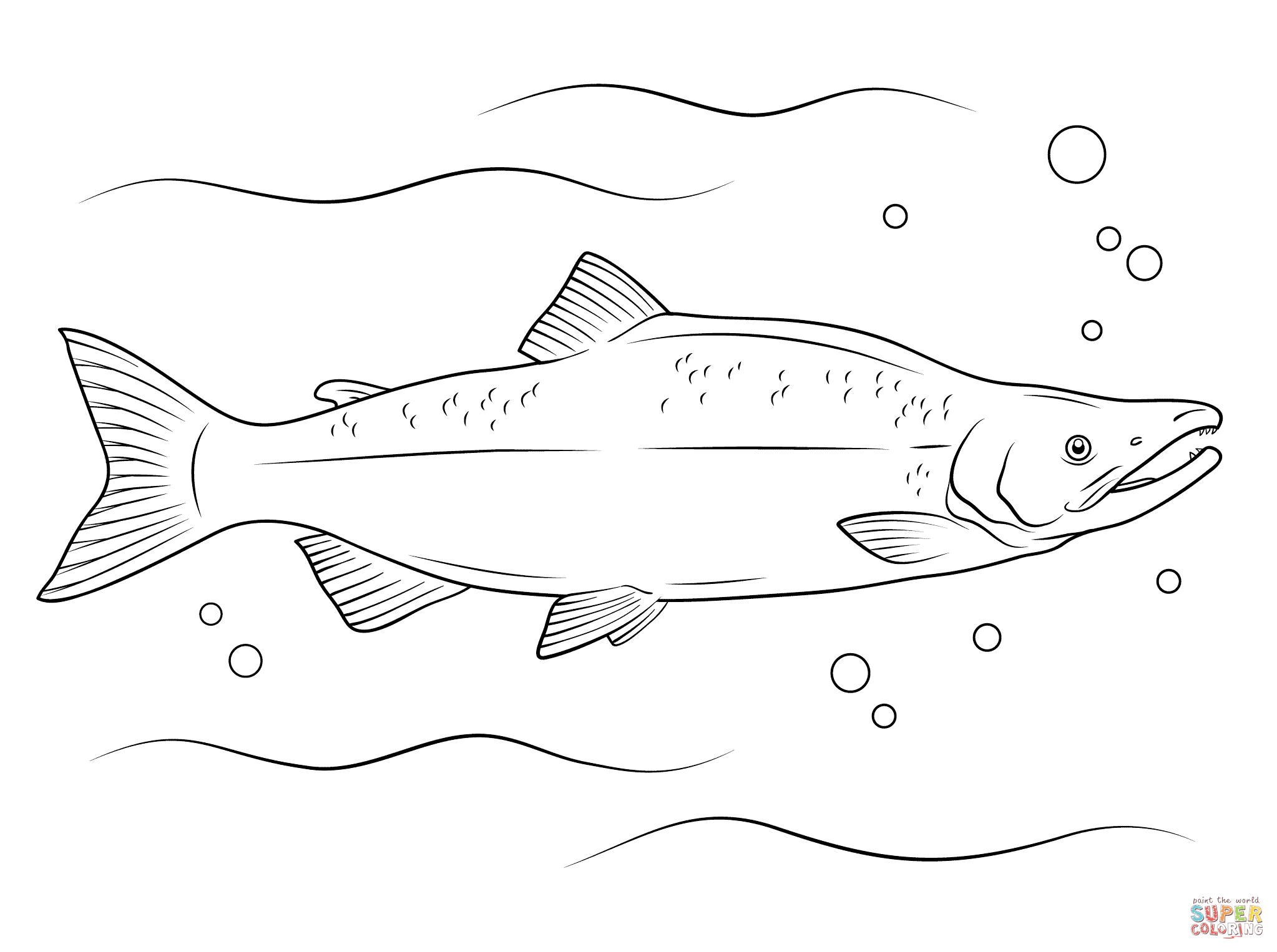 Sockeye Salmon coloring #9, Download drawings