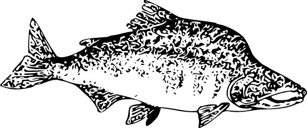 Sockeye Salmon svg #9, Download drawings