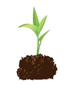 Soil clipart #5, Download drawings