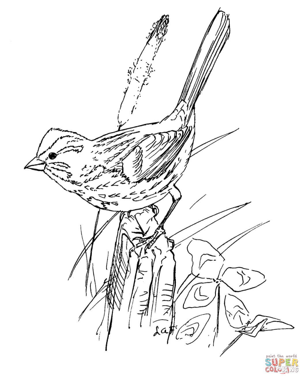 Song Sparrow coloring #5, Download drawings