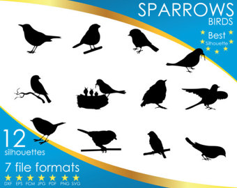 Song Sparrow svg #20, Download drawings