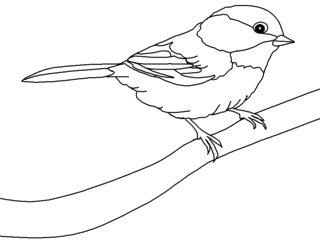 Songbird coloring #18, Download drawings