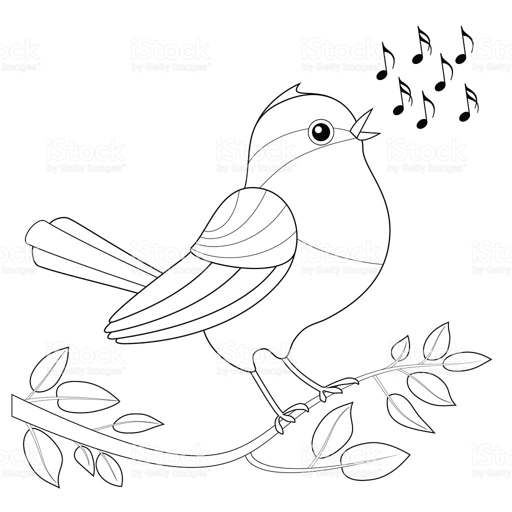 Songbird coloring #11, Download drawings