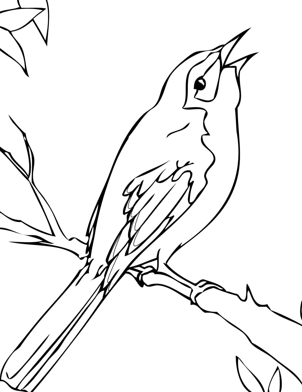 Songbird coloring #3, Download drawings
