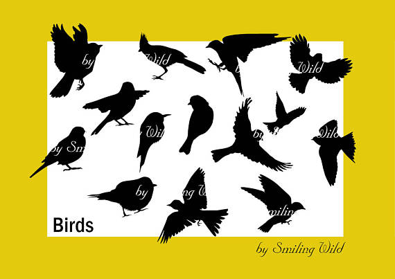 Songbird svg #14, Download drawings
