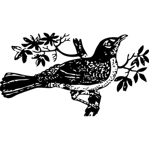 Songbird svg #11, Download drawings