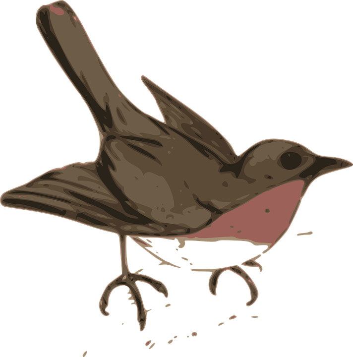 Songbird svg #9, Download drawings
