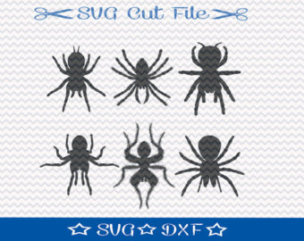 South American Cave Spider svg #9, Download drawings