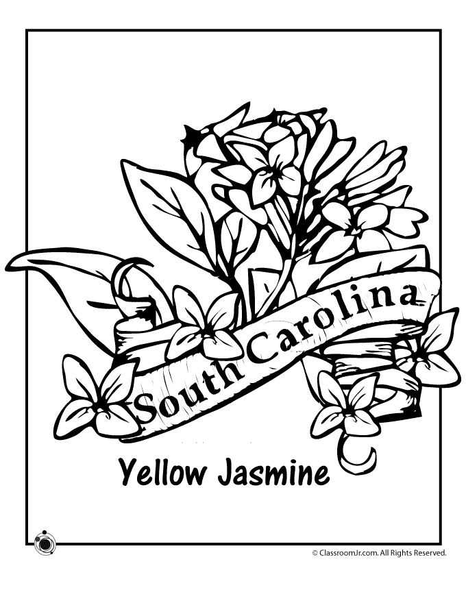 South Carolina coloring #15, Download drawings