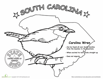 South Carolina coloring #17, Download drawings