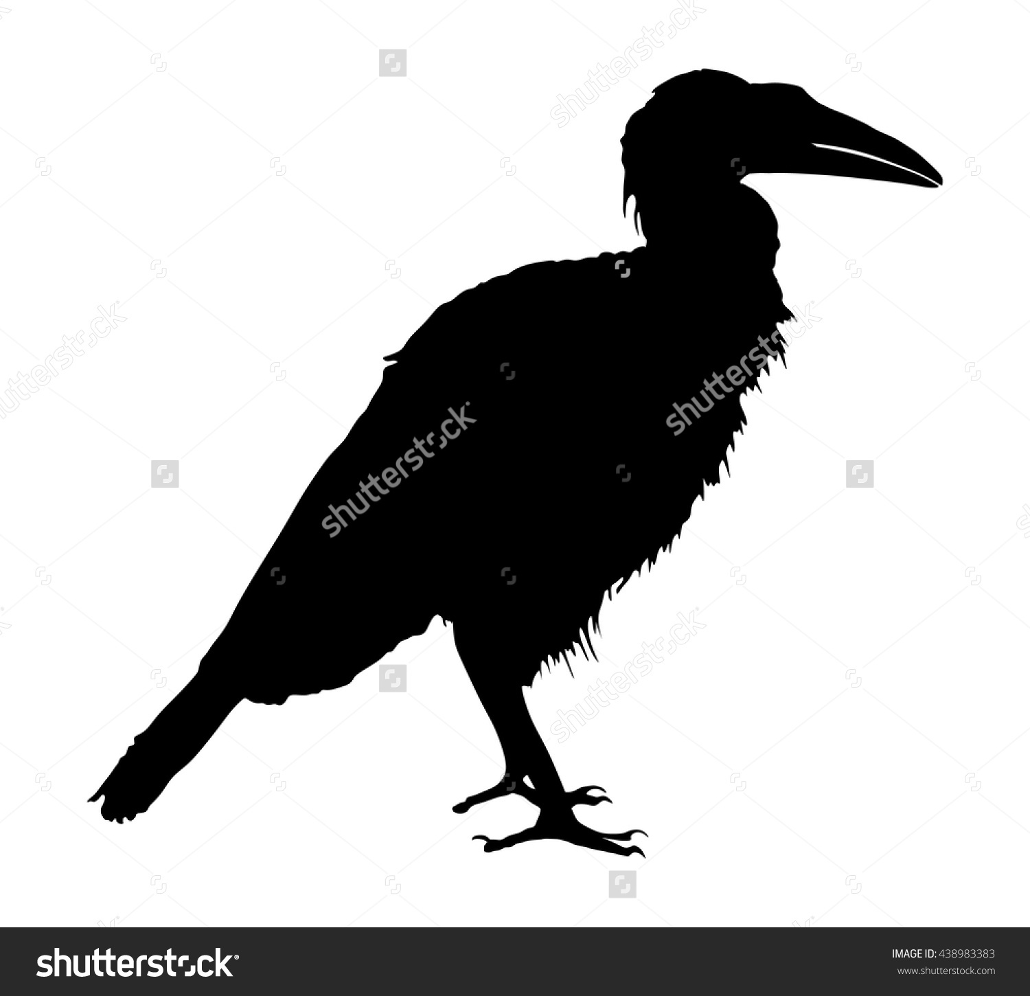 Southern Ground Hornbill clipart #20, Download drawings