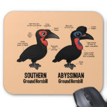 Southern Ground Hornbill coloring #17, Download drawings