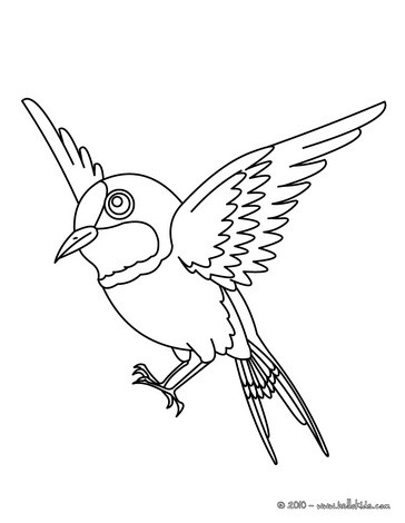 Sparrow coloring #12, Download drawings