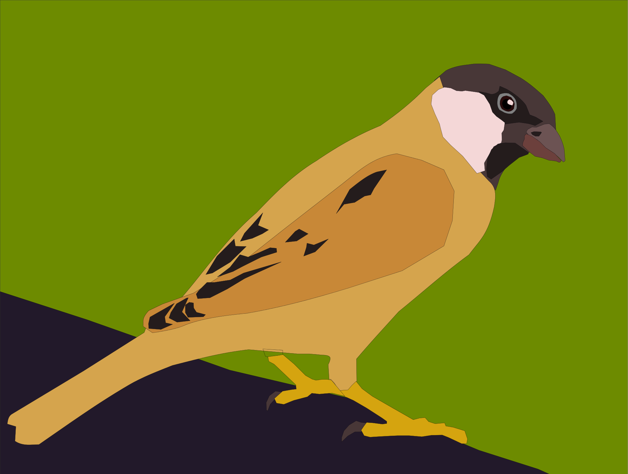 Sparrow svg #2, Download drawings
