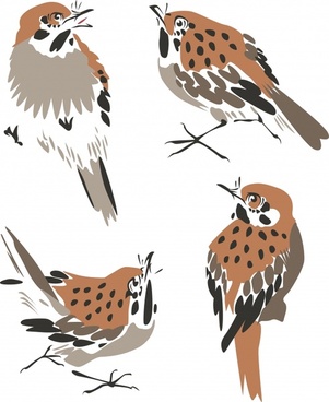 Sparrowhawk svg #8, Download drawings