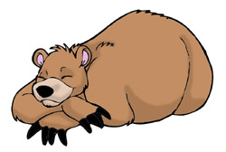 Spectacled Bear clipart #15, Download drawings