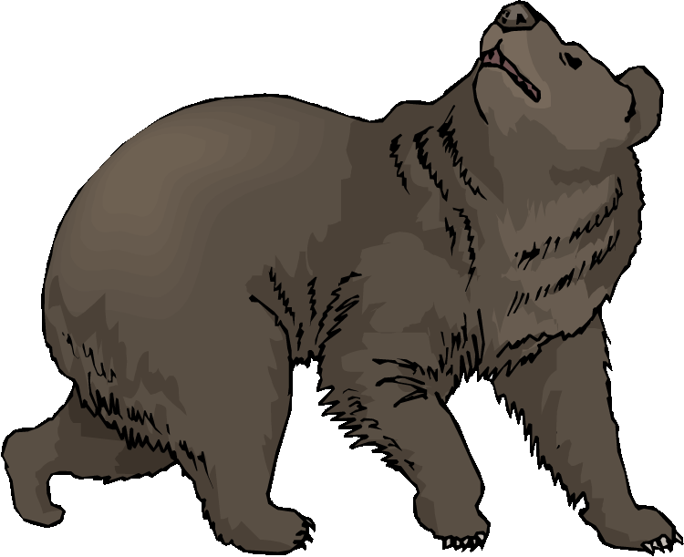 Spectacled Bear clipart #4, Download drawings