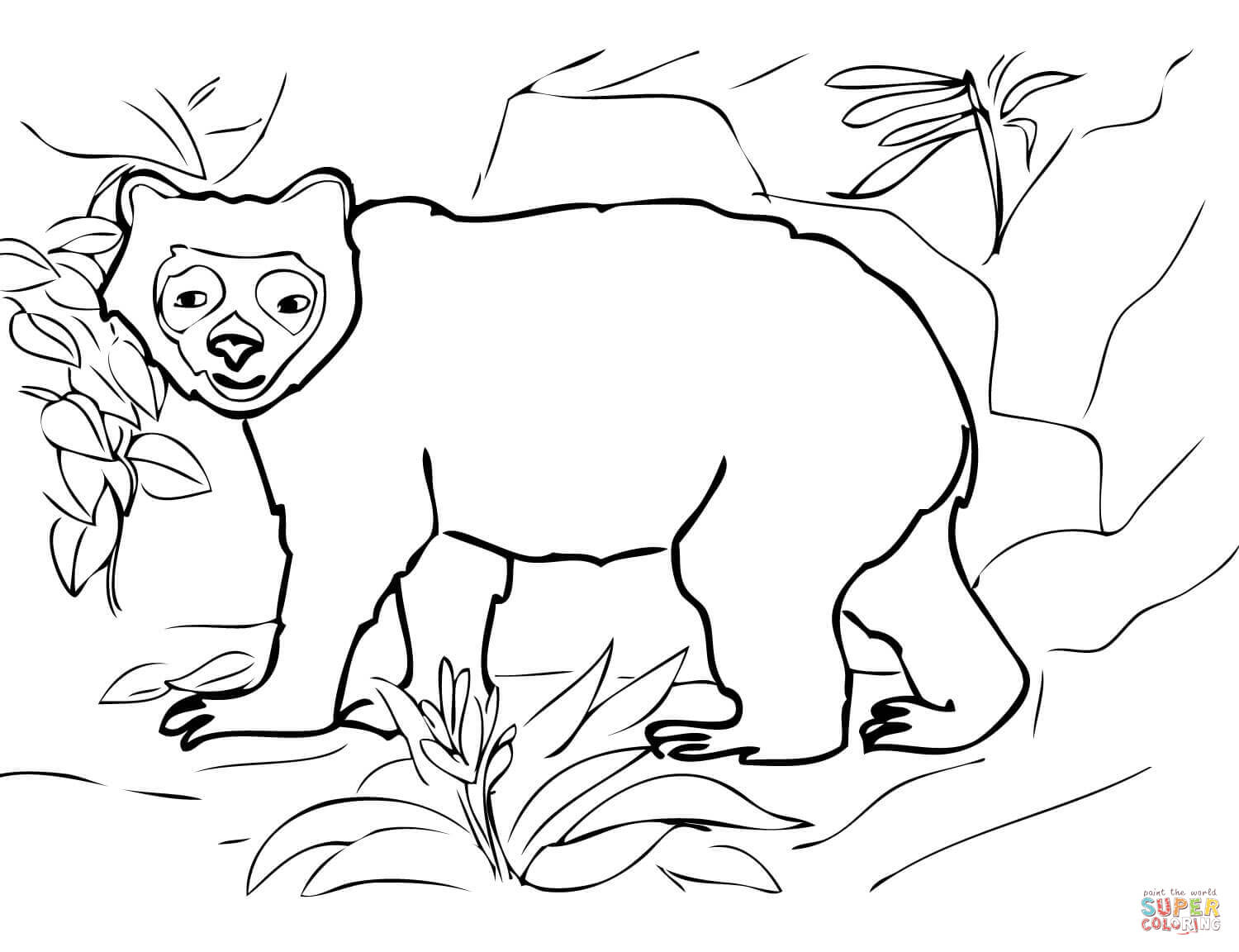 Spectacled Bear coloring #13, Download drawings