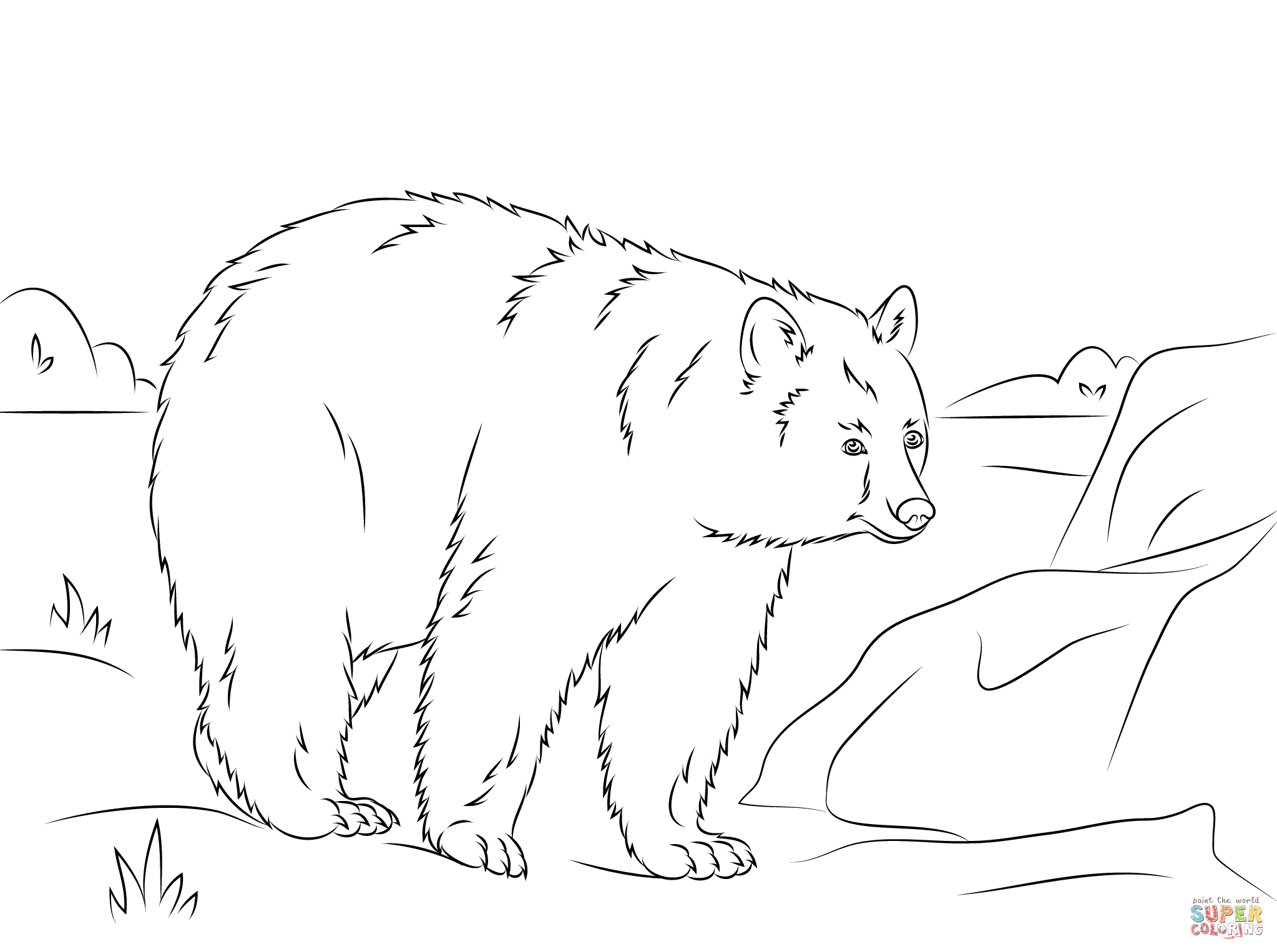 Spectacled Bear coloring #3, Download drawings