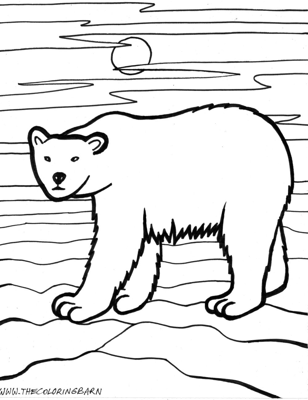 Spectacled Bear coloring #2, Download drawings