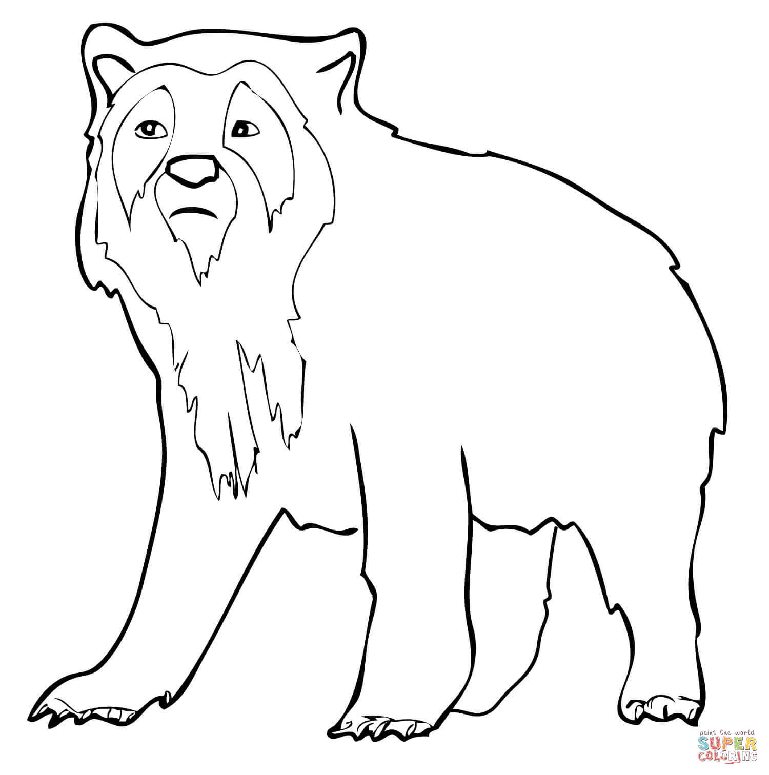 Spectacled Bear coloring #12, Download drawings