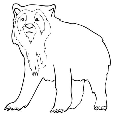 Spectacled Bear coloring #19, Download drawings