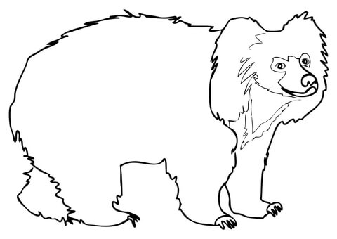 Spectacled Bear coloring #15, Download drawings