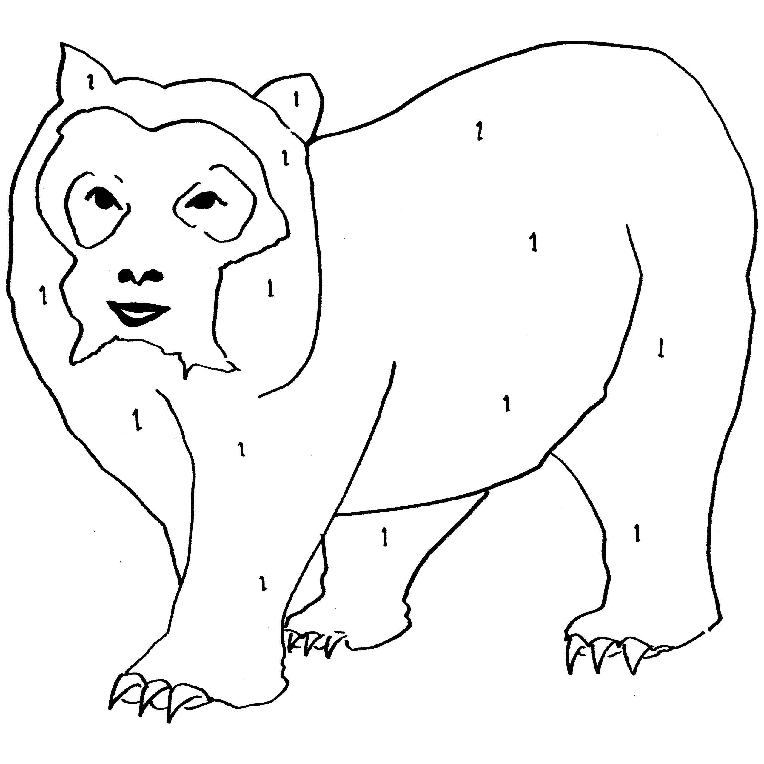 Spectacled Bear coloring #11, Download drawings