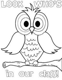 Spectacled Owl coloring #9, Download drawings