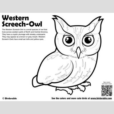 Spectacled Owl coloring #11, Download drawings