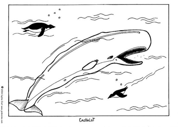 Whale coloring #6, Download drawings