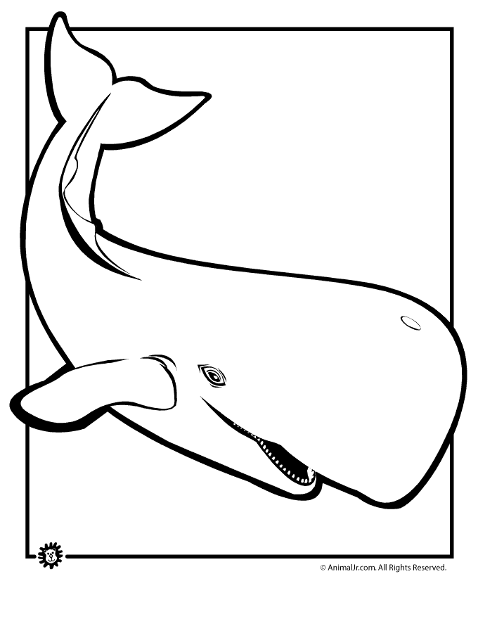 Whale coloring #4, Download drawings