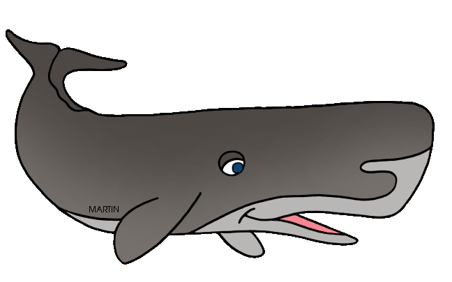 Sperm Whale clipart #16, Download drawings