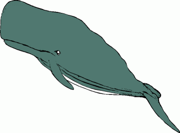 Sperm Whale clipart #8, Download drawings