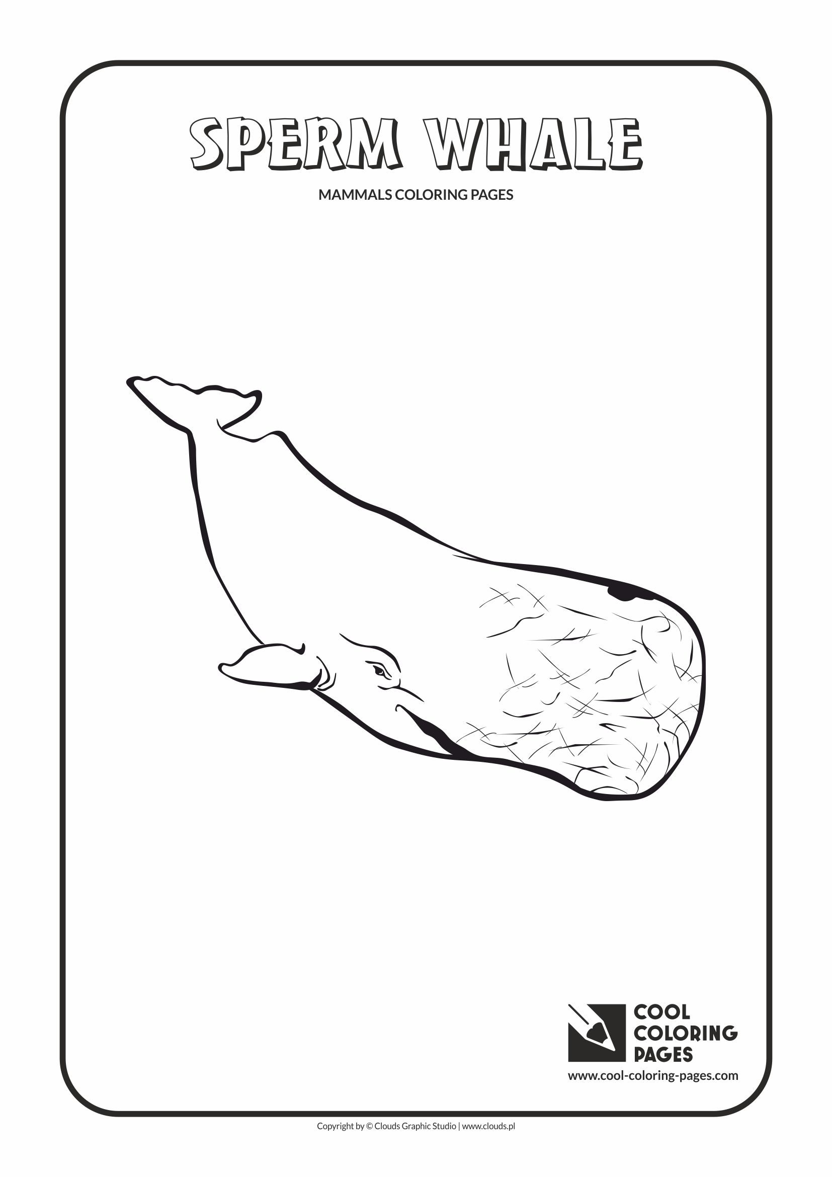 Sperm Whale coloring #3, Download drawings