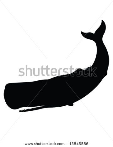 Sperm Whale svg #16, Download drawings
