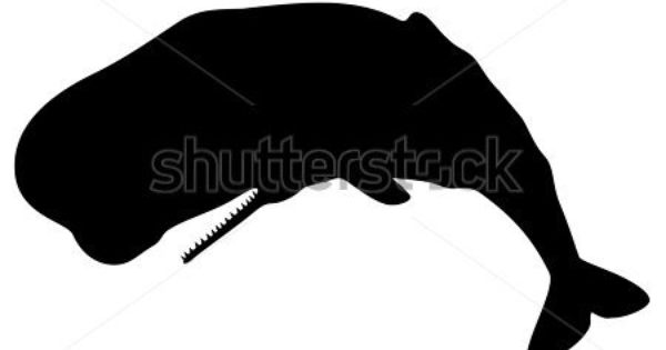 Sperm Whale svg #3, Download drawings
